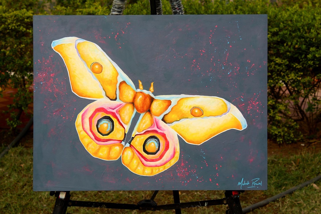 “FLY WITH THE BEAUTY” Oils on Wooden Panel