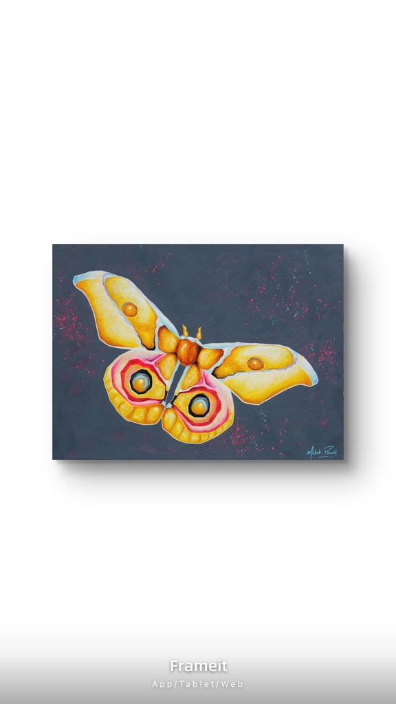 “FLY WITH THE BEAUTY” Oils on Wooden Panel